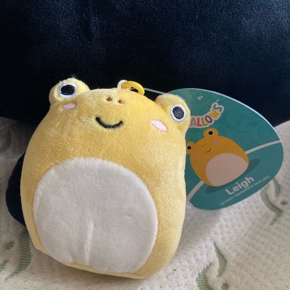 Squishmallows Other - BNWT LEIGH THE FROG 3.5” CLIP SQUISHMALLOWS